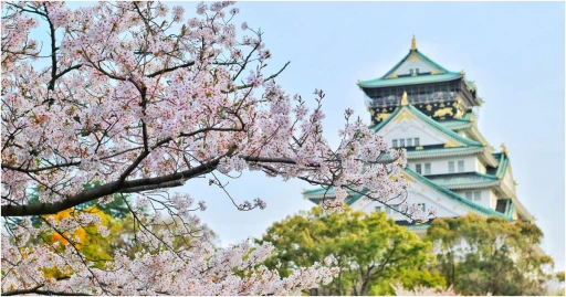 image for article Prediksi Mekar Bunga Sakura Jepang 2023, Kapan Dan Di Mana Kamu Bisa Melihatnya!