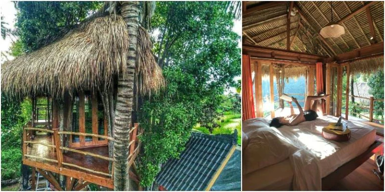 The WaVi Treehouse | rumah pohon di Bali
