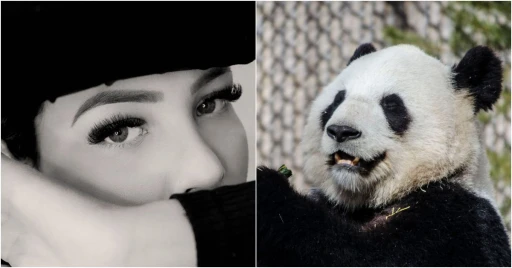 image for article Cara Menghilangkan Mata Panda Dan Mengetahui Penyebabnya