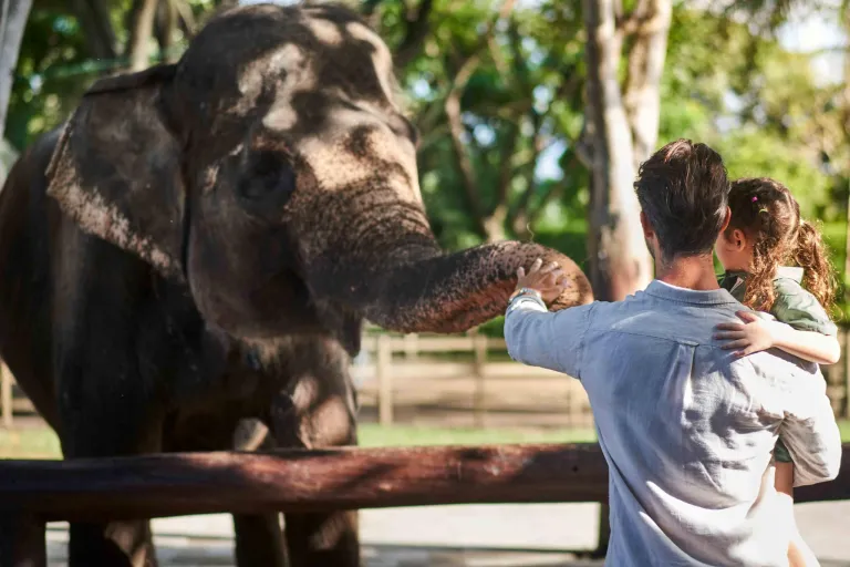 Bali Zoo