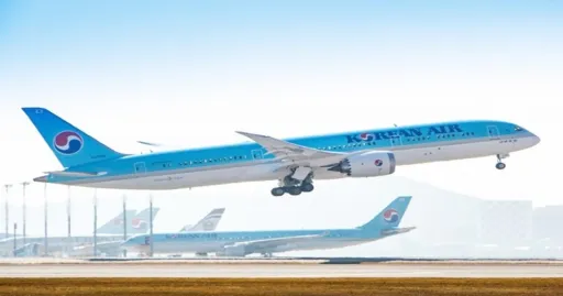 image for article Penerbangan Tanpa Mi Instan di Korean Air