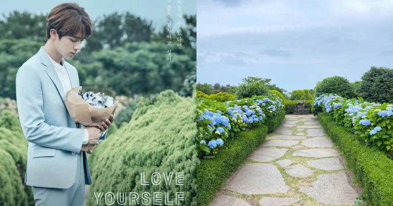 Wisata Korea BTS - Camellia Hill Botanical Garden Jeju