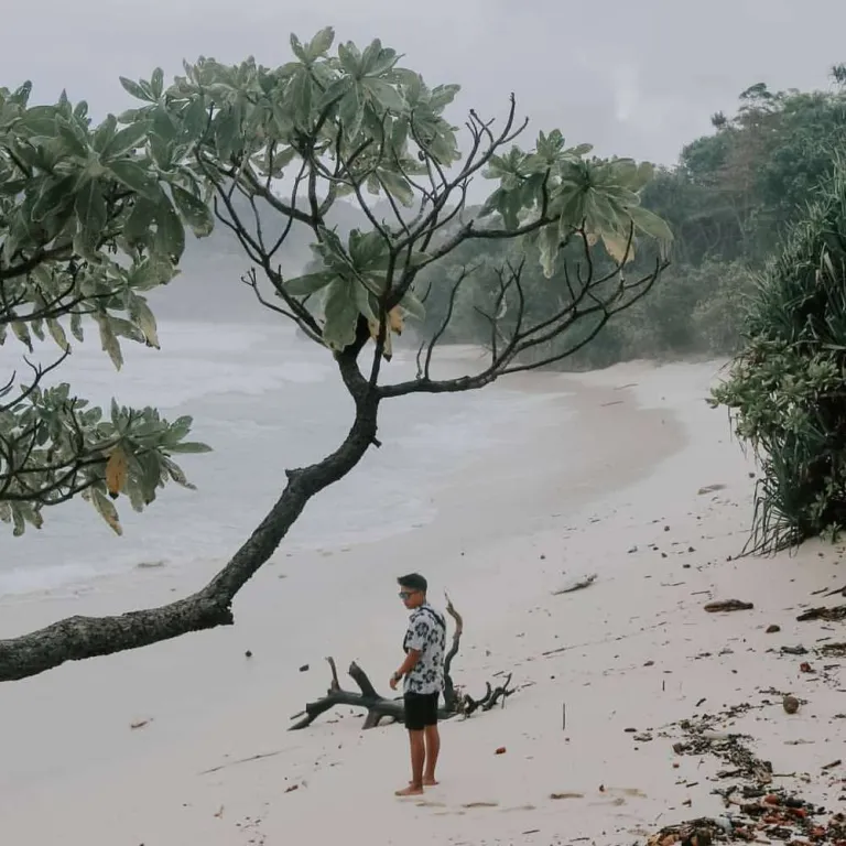 Pantai tulungagung