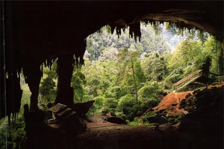 Niah National Park