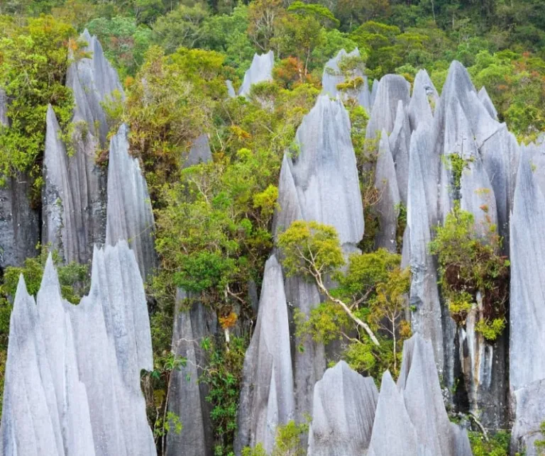 Mulu National Park