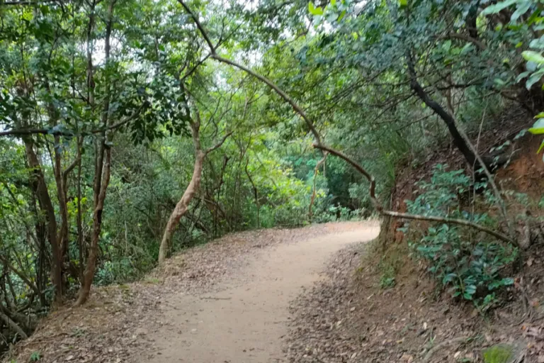 Keindahan alam tersembunyi Hong Kong