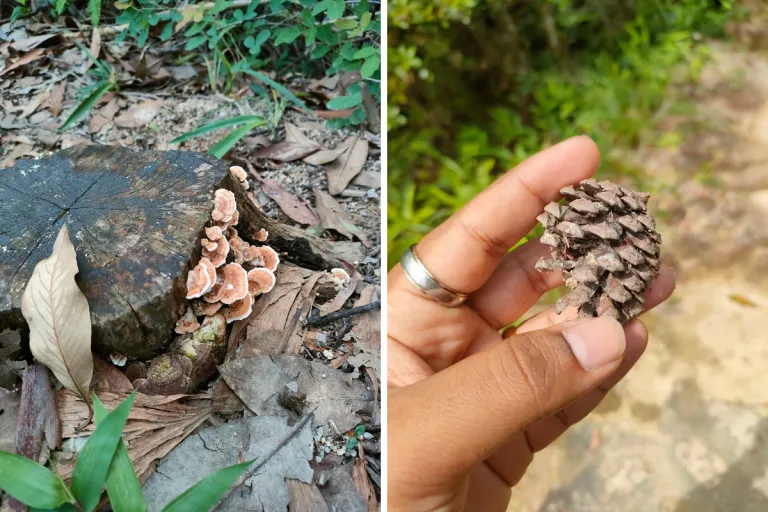 Keindahan alam tersembunyi Hong Kong