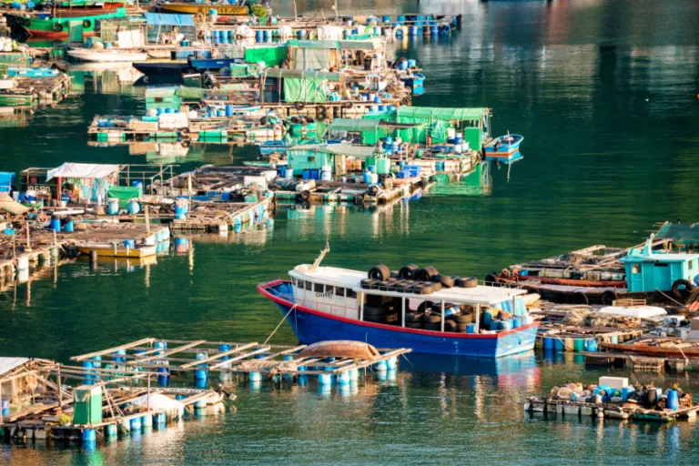 Keindahan alam tersembunyi Hong Kong