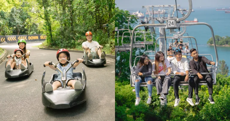 Tempat Wisata Terbaru di Singapura - Skyline Luge Singapore