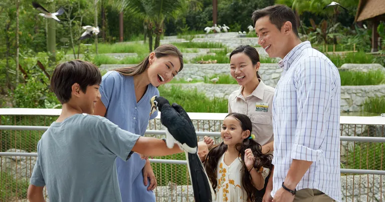 Tempat Wisata Terbaru di Singapura - Bird Paradise