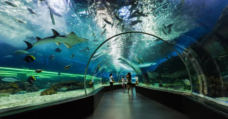 Tempat Wisata Shanghai China - Shanghai Ocean Aquarium 