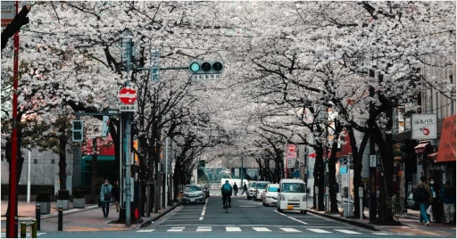 image for article Karena Varian Omicron, Jepang Melarang Traveler Internasional Masuk