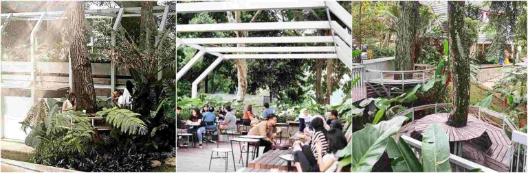 Foresta Coffee | cafe hutan bandung