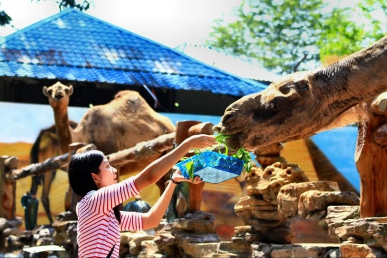 Kebun Binatang Johor Bahru | wisata