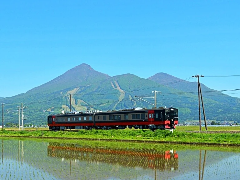 Joyful Trains FruiTea Fukushima