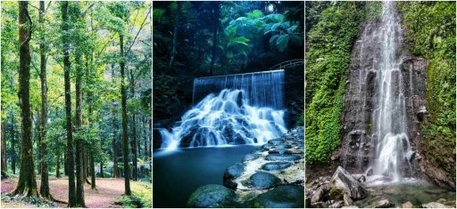 image for article Taman Nasional Di Jawa Barat Yang Menarik Untuk Dijelajahi