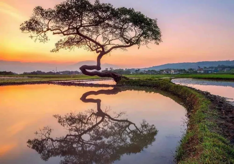 Tempat Wisata Salatiga Terbaru