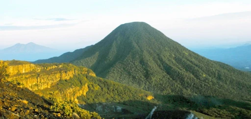 image for article Gunung Gede Pangrango Ditutup Hingga Pertengahan 2020