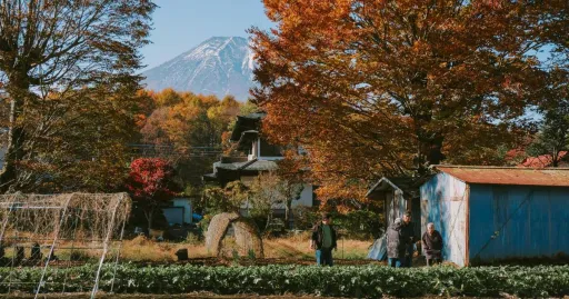 image for article Cara Mengajukan Visa Tokutei Ginou Untuk Bekerja Di Jepang