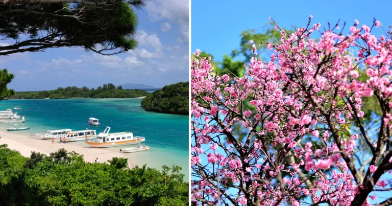 Rekomendasi Aktivitas Seru di Okinawa, Jepang