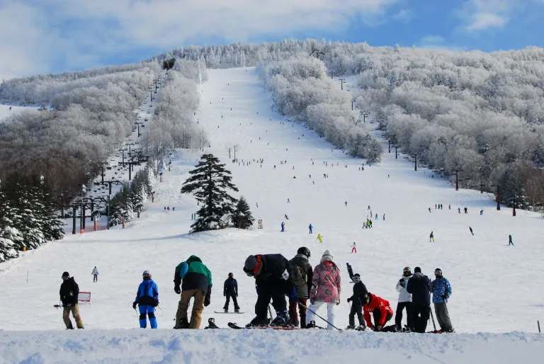 Ski Resort Jepang - Shiga Kogen