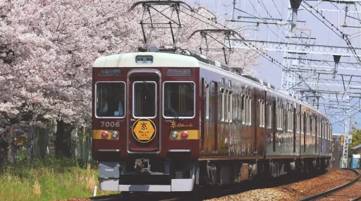 image for article Melihat Sakura Dengan Kereta Wisata Tercantik di Kyoto, Jepang