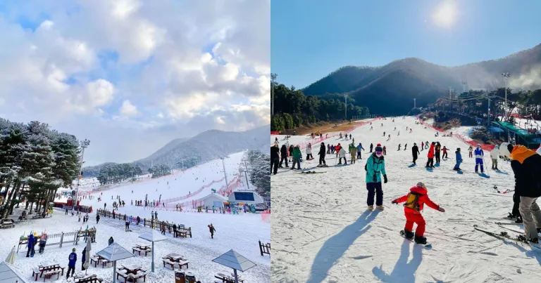 Ski resort Korea Selatan - Jisan Forest Ski Resort