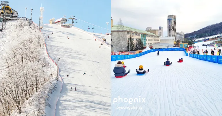 Ski resort Korea Selatan - Phoenix Snow Park