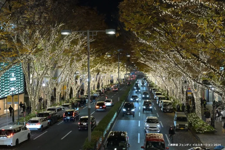 Iluminasi musim dingin Tokyo - Omotesando Illumination