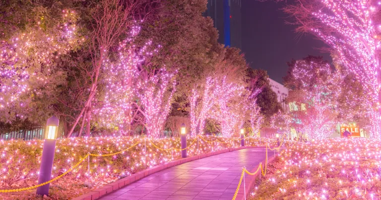 Iluminasi musim dingin Tokyo - Shinjuku Terrace City Illumination 