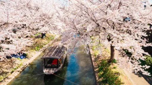 image for article 10 Hidden Gem di Kyoto Untuk Lihat Sakura Lebih Syahdu