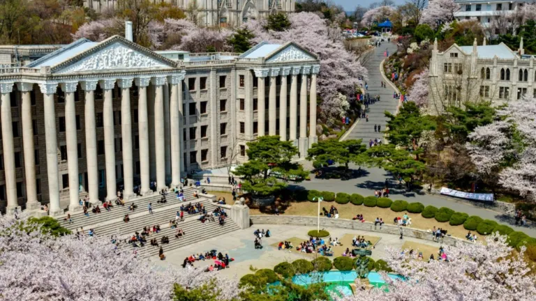 Tempat Melihat Sakura Seoul - Kyung Hee University 