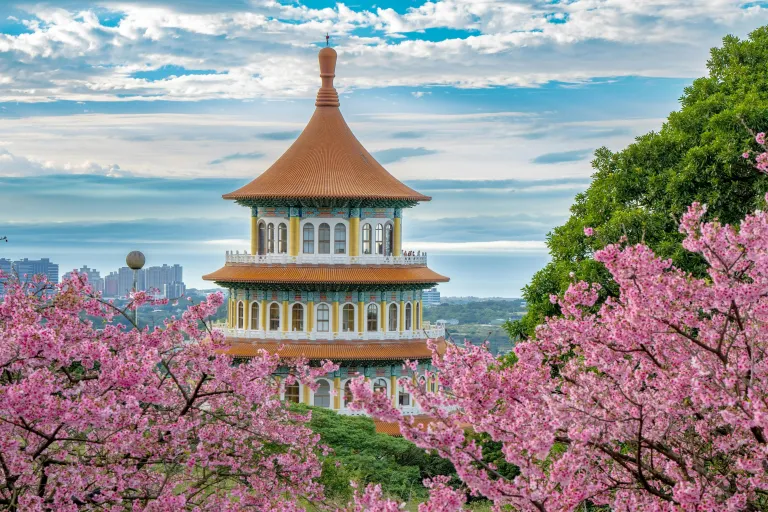 Tempat Melihat Bunga Sakura Taiwan - Wuji Tianyuan Temple