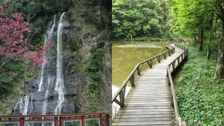 Tempat Melihat Bunga Sakura Taiwan - Wulai