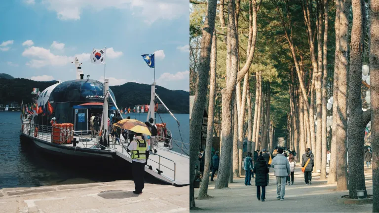 Sakura Korea Selatan - Nami Island