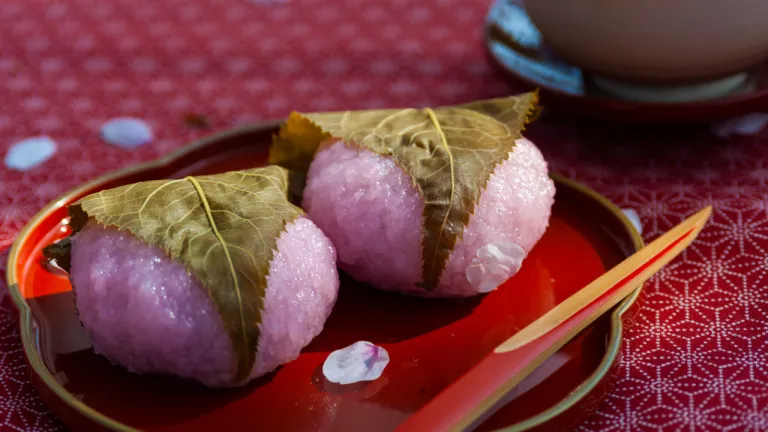 Makanan Khas Musim Semi Jepang - Sakura Mochi