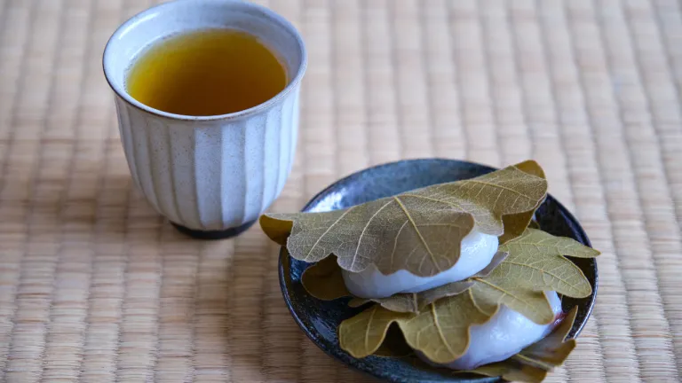 Makanan Khas Musim Semi Jepang - Kashiwa Mochi