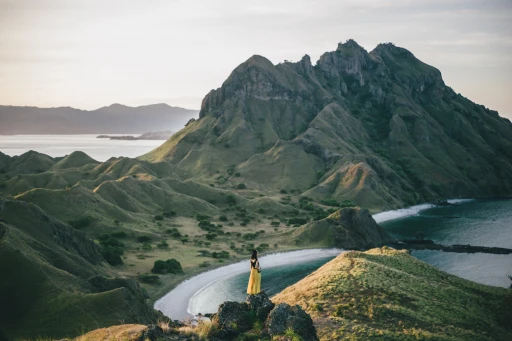 image for article Nusa Tenggara Timur Jadi Nomor 1 Destinasi Dengan Harga Terbaik di Dunia