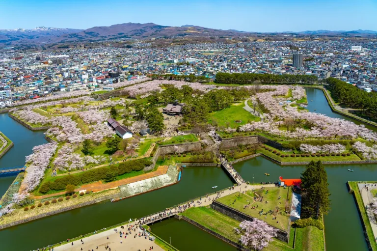 Tempat Melihat Sakura Jepang - Goryokaku Park