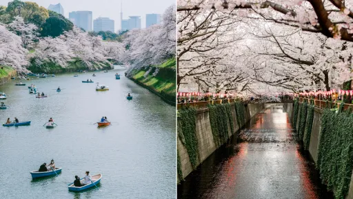 image for article 11 Tempat Terbaik Untuk Melihat Sakura di Jepang, Keindahan Musim Semi Yang Memukau