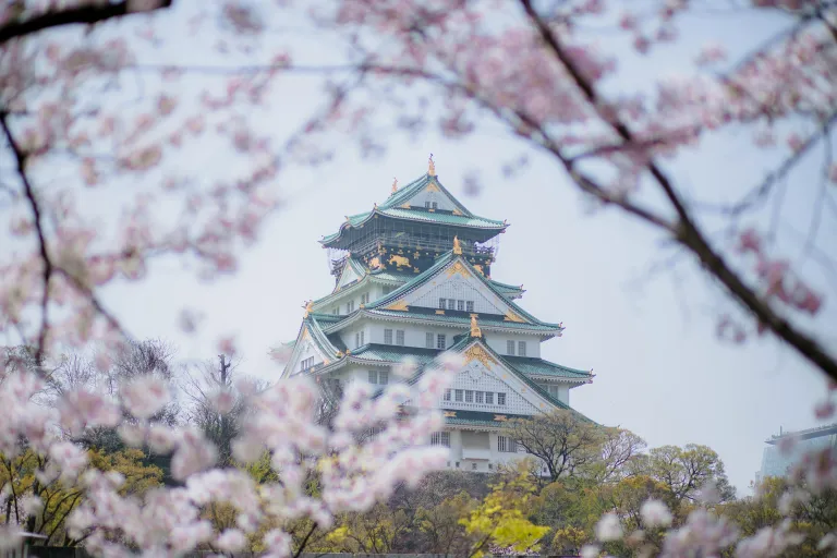 Tempat Melihat Sakura Jepang - Osaka Castle