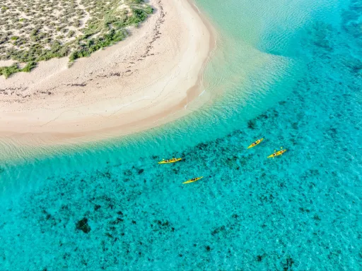 image for article Menyelami Surga Laut Ningaloo Reef di Australia Barat, Ini Rekomendasi Aktivitas Seru yang Wajib Dicoba!