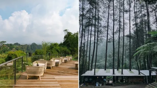 image for article 10 Restoran Nuansa Alam di Puncak Untuk Liburan Keluarga Menyenangkan