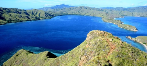 image for article Tidak Jadi Ditutup, Pulau Komodo Terapkan Aturan Baru Buat Wisatawan