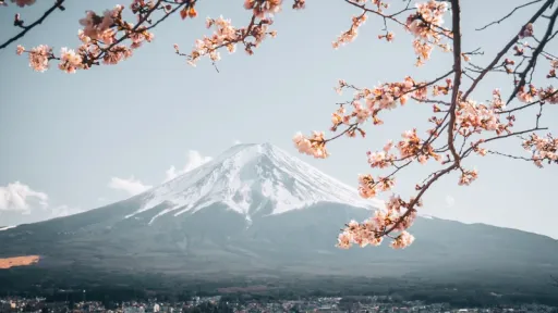 image for article Tarif Mendaki Gunung Fuji Naik Dua Kali Lipat Mulai Musim Panas 2025