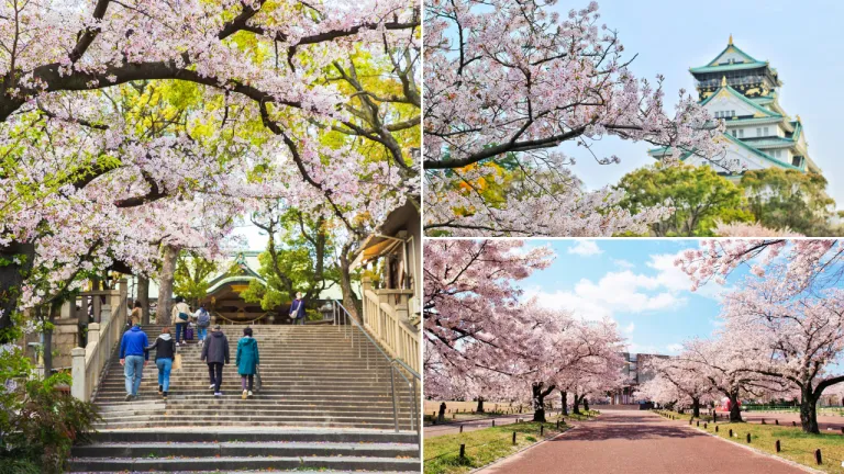 10 Tempat Terbaik Melihat Sakura di Osaka, Jepang Untuk Liburan Musim Semi Yang Indah