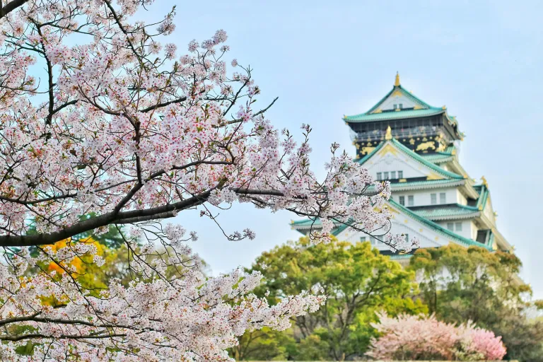 Tempat Terbaik Melihat Sakura Osaka Jepang - Osaka Castle