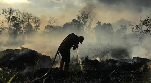 image for article Tips Wisata Di Tengah Kabut Asap Yang Harus Kamu Ketahui