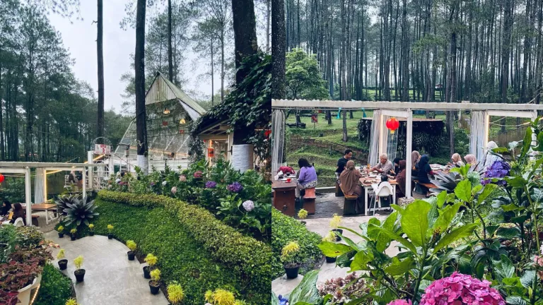 Cafe Bunga Bandung - Warung Kopi Gunung