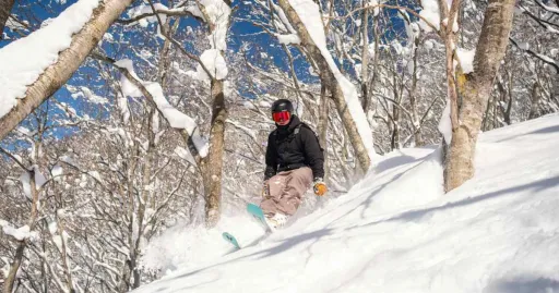 image for article Panduan Bermain Ski Di Jepang Saat Liburan Musim Dingin